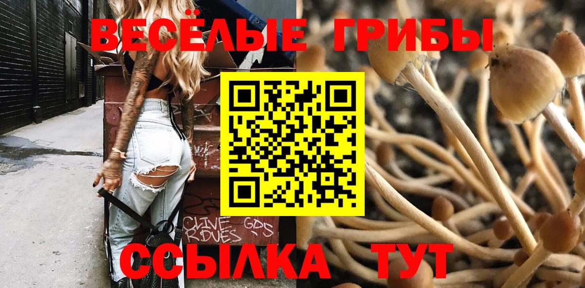 Псилоцибиновые грибы Cubensis Сызрань
