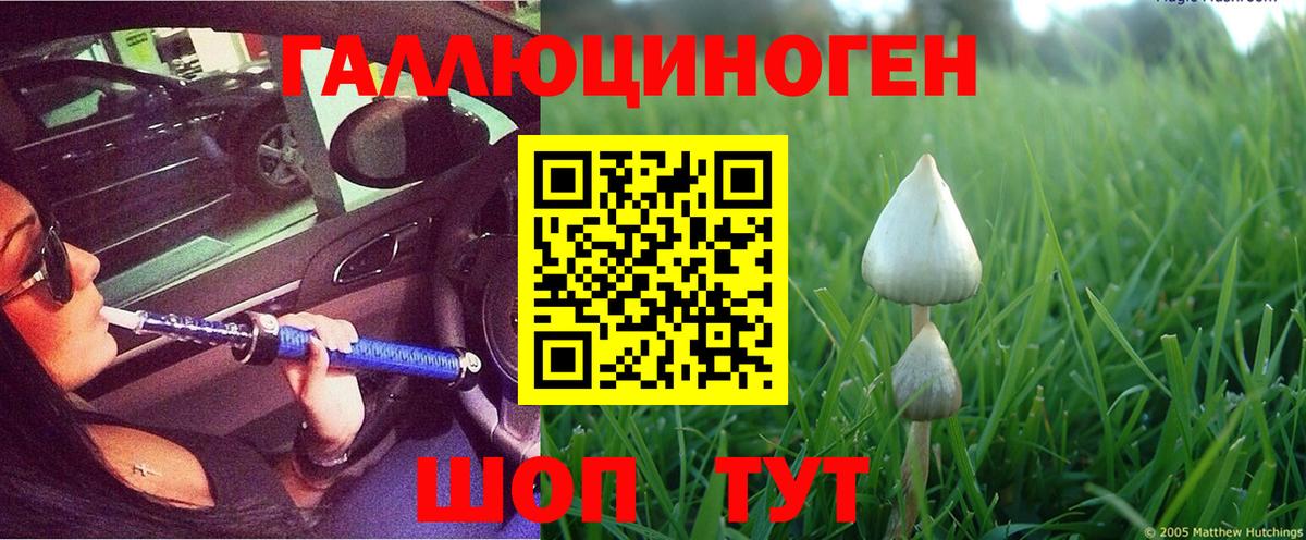 Сызрань  Галлюциногенные грибы прущие грибы  купить закладку  Вход с VPN 